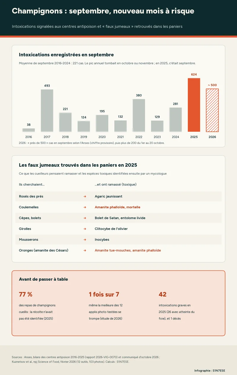Infographie S1N7ESE : Champignons : septembre 2,3 fois au-dessus de la normale